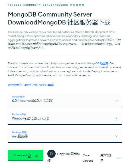 Windows系统下安装MongoDB并内网穿透远程连接