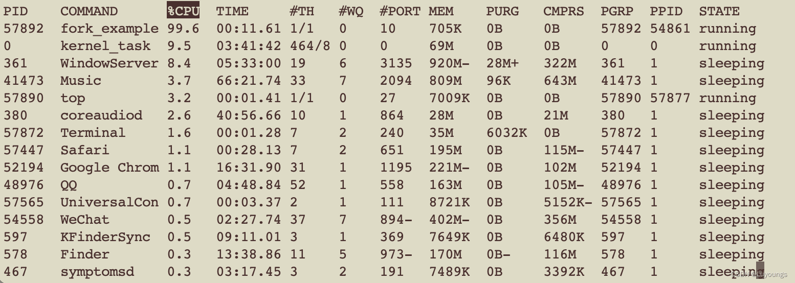 exec()函数在C++中的应用及其用法