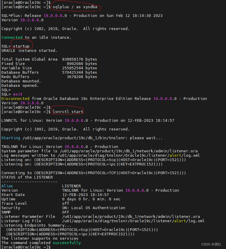 Oracle数据库启停命令示例